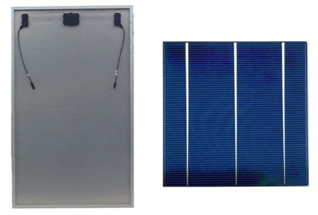 ȁPV TOP.5g(sh)M