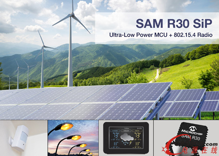 MicrochiploBOӋSAM R30ϵybaƷ